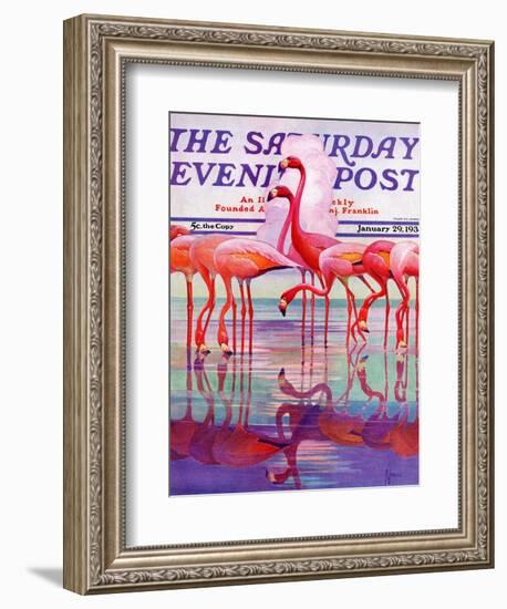 "Pink Flamingos," Saturday Evening Post Cover, January 29, 1938-Francis Lee Jaques-Framed Giclee Print