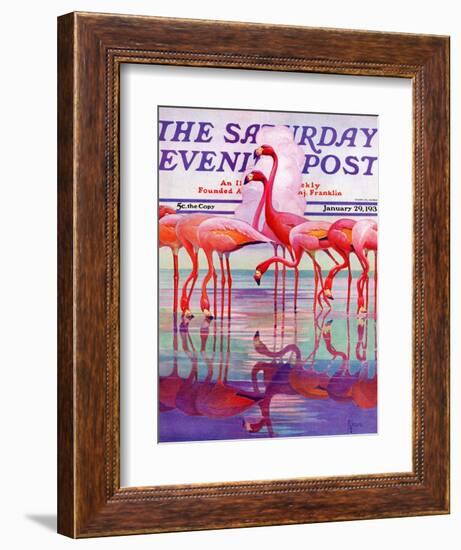 "Pink Flamingos," Saturday Evening Post Cover, January 29, 1938-Francis Lee Jaques-Framed Giclee Print