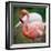 Pink Flamingos-l i g h t p o e t-Framed Photographic Print