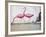 Pink Flamingos-null-Framed Giclee Print