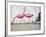 Pink Flamingos-null-Framed Giclee Print