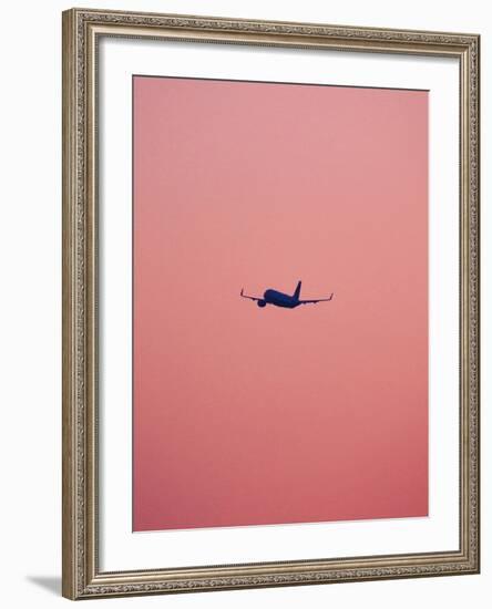 Pink Flight-Design Fabrikken-Framed Photographic Print