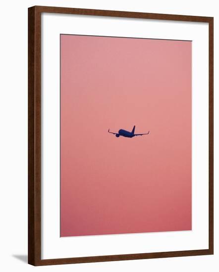 Pink Flight-Design Fabrikken-Framed Photographic Print