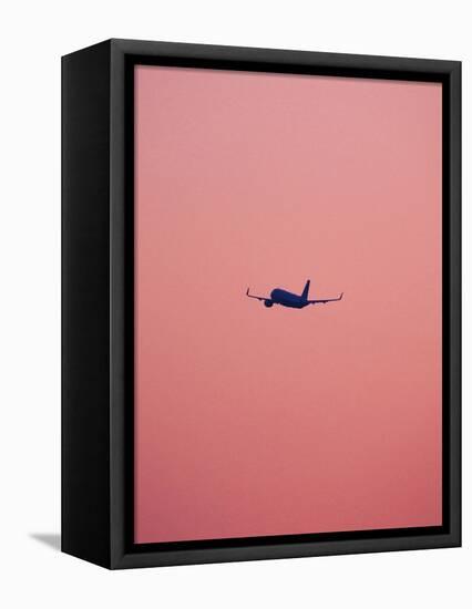 Pink Flight-Design Fabrikken-Framed Premier Image Canvas