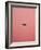 Pink Flight-Design Fabrikken-Framed Photographic Print