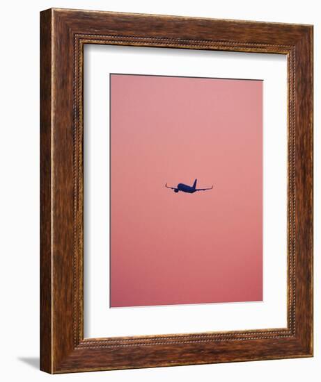 Pink Flight-Design Fabrikken-Framed Premium Photographic Print