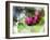 Pink Floral on Green-Chamira Young-Framed Art Print