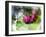 Pink Floral on Green-Chamira Young-Framed Art Print