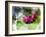 Pink Floral on Green-Chamira Young-Framed Art Print