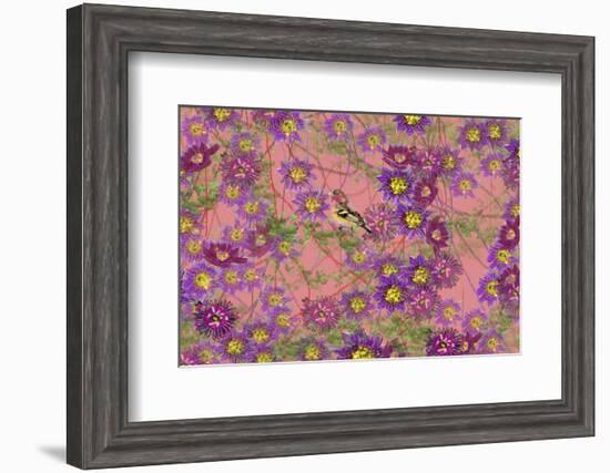 Pink floral pattern-Claire Westwood-Framed Premium Giclee Print