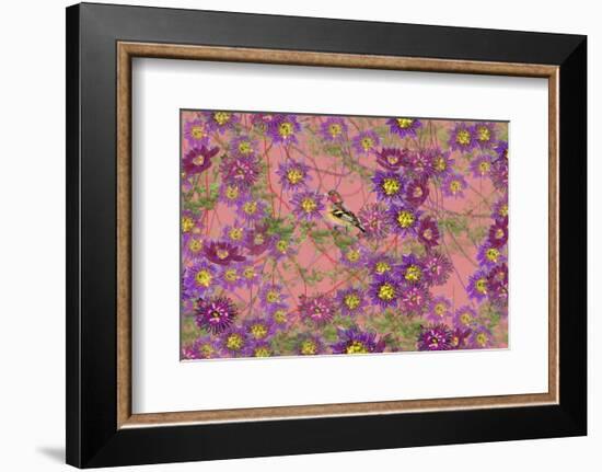 Pink floral pattern-Claire Westwood-Framed Premium Giclee Print