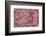 Pink floral pattern-Claire Westwood-Framed Premium Giclee Print