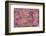 Pink floral pattern-Claire Westwood-Framed Premium Giclee Print