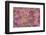 Pink floral pattern-Claire Westwood-Framed Premium Giclee Print