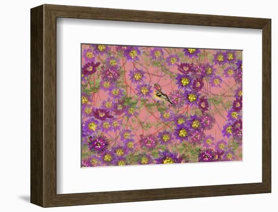 Pink floral pattern-Claire Westwood-Framed Premium Giclee Print