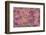 Pink floral pattern-Claire Westwood-Framed Premium Giclee Print