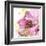 Pink Flower in the Snow-Dawn Derman-Framed Art Print