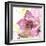 Pink Flower in the Snow-Dawn Derman-Framed Art Print