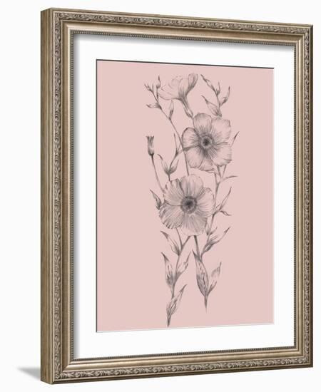 Pink Flower Sketch Illustration I-Jasmine Woods-Framed Art Print