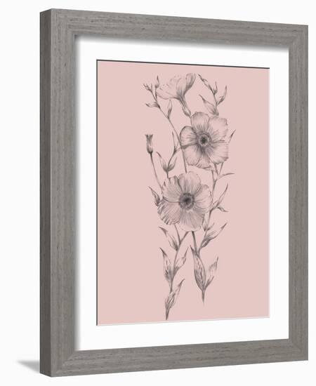 Pink Flower Sketch Illustration I-Jasmine Woods-Framed Art Print