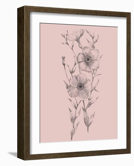 Pink Flower Sketch Illustration I-Jasmine Woods-Framed Art Print