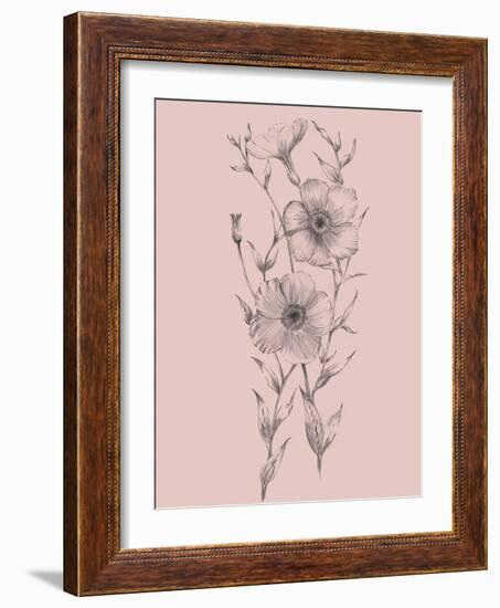 Pink Flower Sketch Illustration I-Jasmine Woods-Framed Art Print