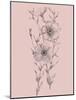 Pink Flower Sketch Illustration I-Jasmine Woods-Mounted Art Print