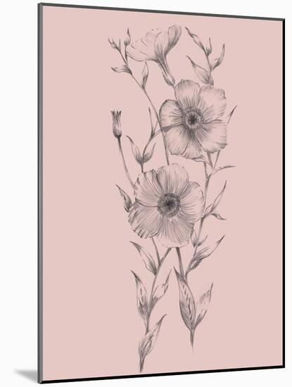 Pink Flower Sketch Illustration I-Jasmine Woods-Mounted Art Print