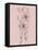 Pink Flower Sketch Illustration I-Jasmine Woods-Framed Stretched Canvas