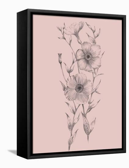 Pink Flower Sketch Illustration I-Jasmine Woods-Framed Stretched Canvas