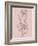 Pink Flower Sketch Illustration II-Jasmine Woods-Framed Art Print