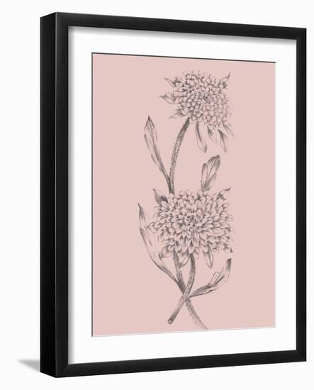 Pink Flower Sketch Illustration II-Jasmine Woods-Framed Art Print