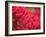 Pink Flower-Savanah Plank-Framed Photo