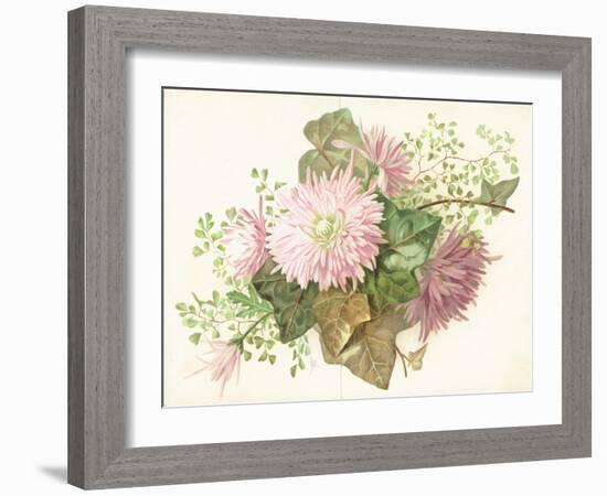 Pink Flowers (Dahlia), Card-null-Framed Giclee Print