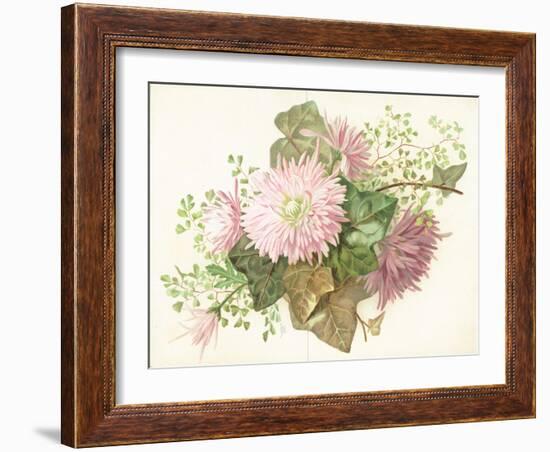 Pink Flowers (Dahlia), Card-null-Framed Giclee Print