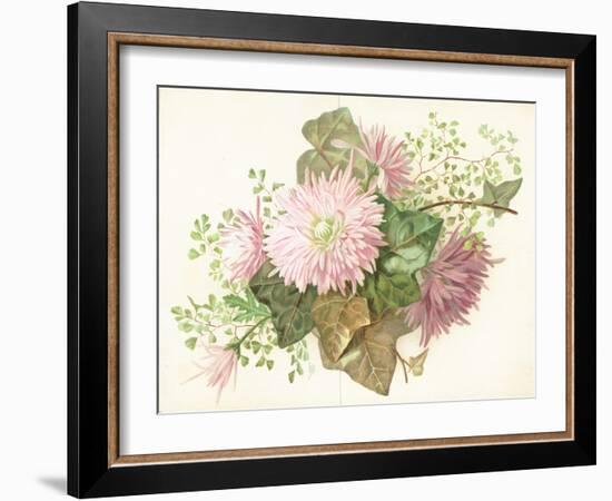 Pink Flowers (Dahlia), Card-null-Framed Giclee Print