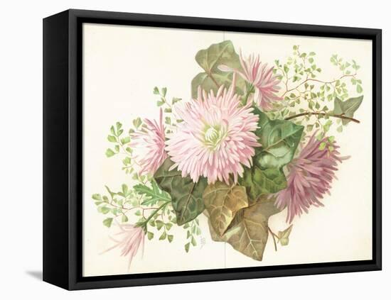 Pink Flowers (Dahlia), Card-null-Framed Premier Image Canvas