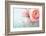 Pink Flowers in a Vase-egal-Framed Photographic Print