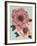 Pink Flowers on Mint I-Vivien Rhyan-Framed Art Print