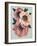 Pink Flowers on Mint I-Vivien Rhyan-Framed Art Print