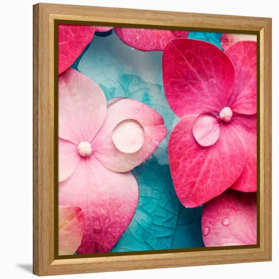 Pink Flowers-null-Framed Premier Image Canvas