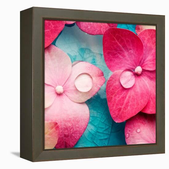 Pink Flowers-null-Framed Premier Image Canvas