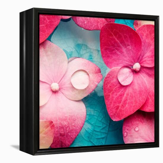 Pink Flowers-null-Framed Premier Image Canvas