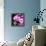 Pink Flowers-null-Framed Premier Image Canvas displayed on a wall