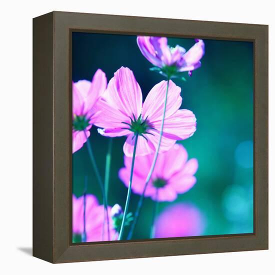 Pink Flowers-null-Framed Premier Image Canvas