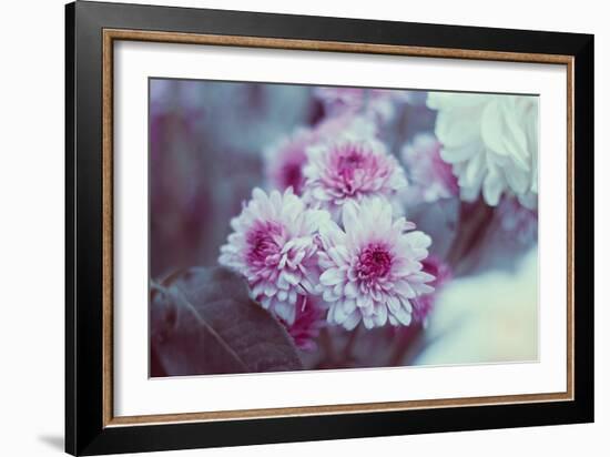 Pink Flowers-Carolina Hernandez-Framed Photographic Print