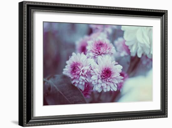 Pink Flowers-Carolina Hernandez-Framed Photographic Print