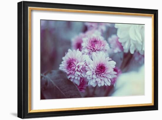 Pink Flowers-Carolina Hernandez-Framed Photographic Print