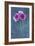 Pink Flowers-Den Reader-Framed Photographic Print