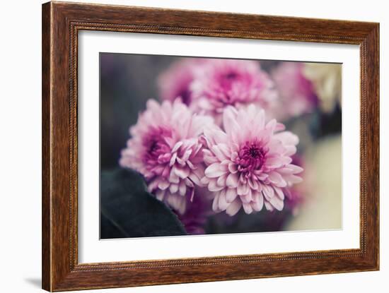 Pink Flowers-Carolina Hernandez-Framed Photographic Print